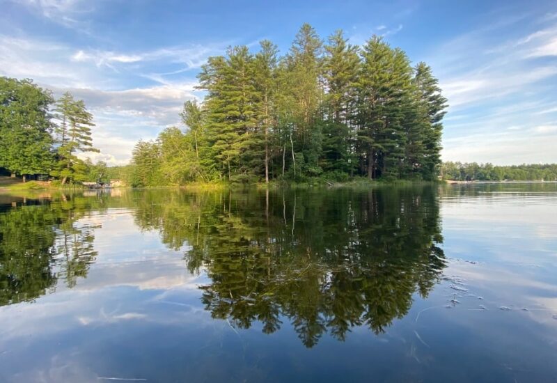 Paradise In The Pines