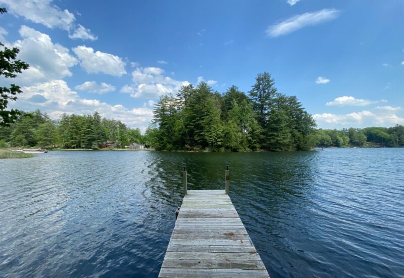 Paradise In The Pines