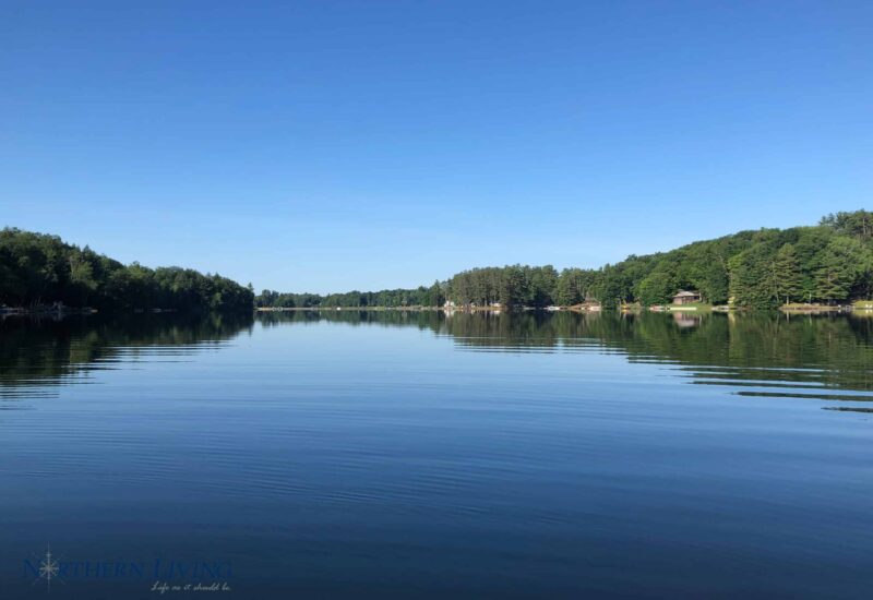 2019-07-09 07.59.18-2