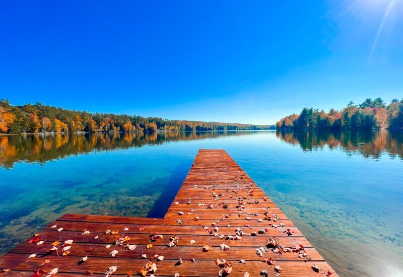 Northern Living Fall-20