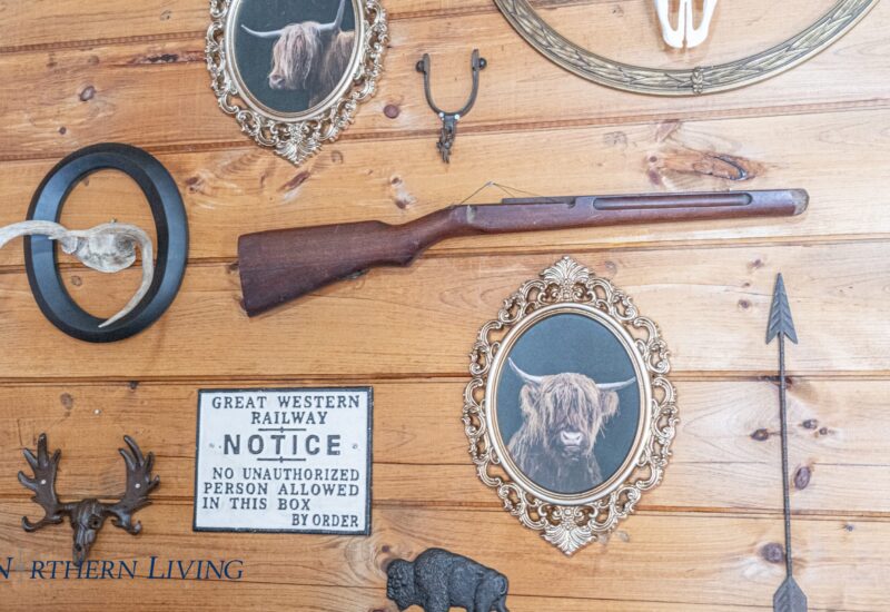 western-themed decor