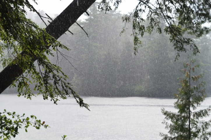 rainy day